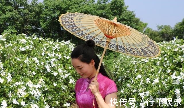 栀子花难养做好3点,南方北方都能养好,花期长,香味浓!