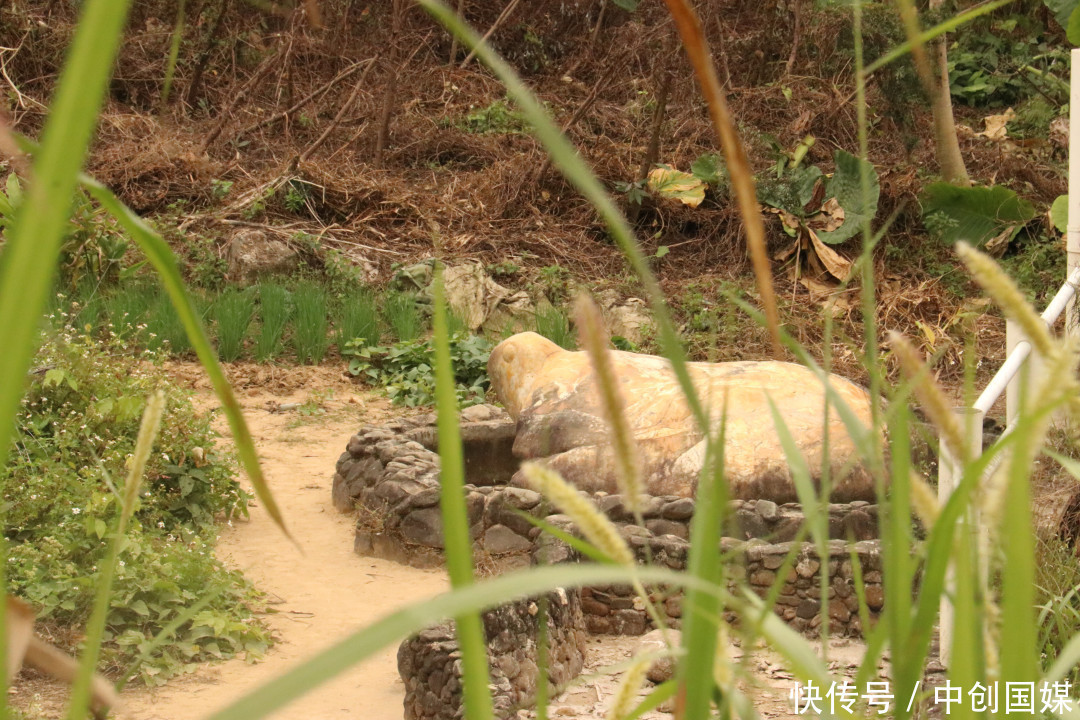 金龟慢:往事经年,历史有声。|这儿有个金龟小镇 | 往事