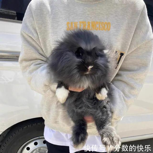 |朋友在你脱单路上的重要性 冷段子1794