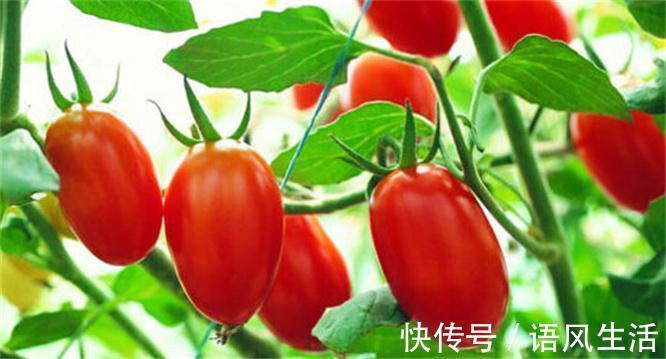 长寿|想长寿要会吃,3种食物离不开,排毒养颜,滋润身体!