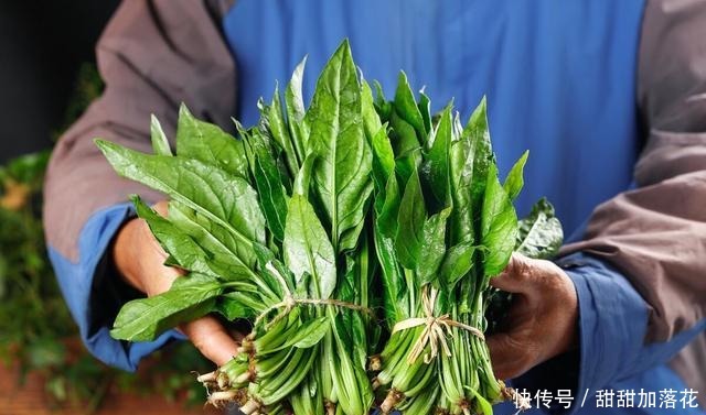 红嘴绿鹦哥|老家的那碗菠菜鸡蛋汤,我一辈子都眷恋的滋味