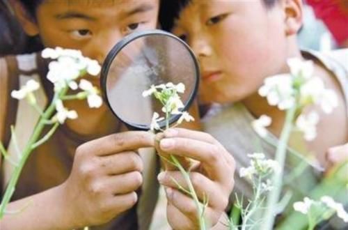 |小学生作文《我的班主任》火了,语言搞笑形容贴切,老师哭笑不得