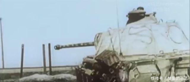 百姓读史|春醒作战德军在巴拉顿湖的最后挣扎，希特勒气得取消党卫军袖标