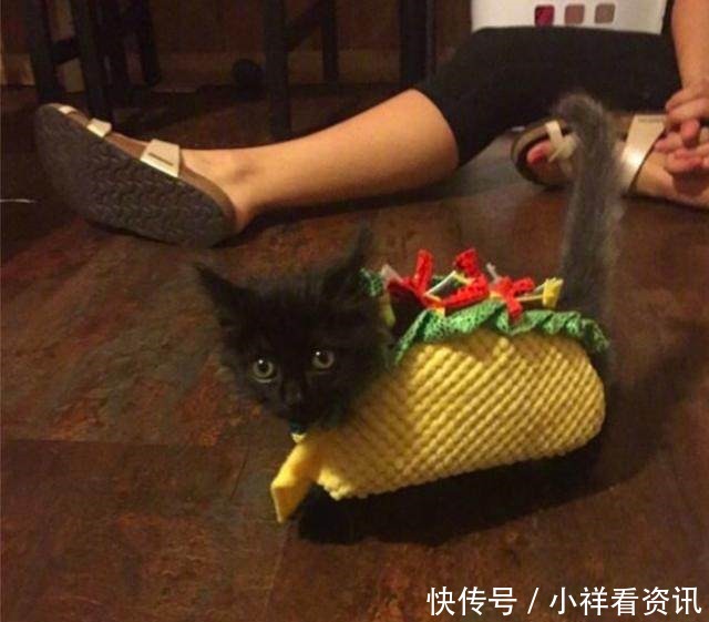 莫名其妙|一些莫名其妙的设计和创意,设计者脑子肯定进水了!