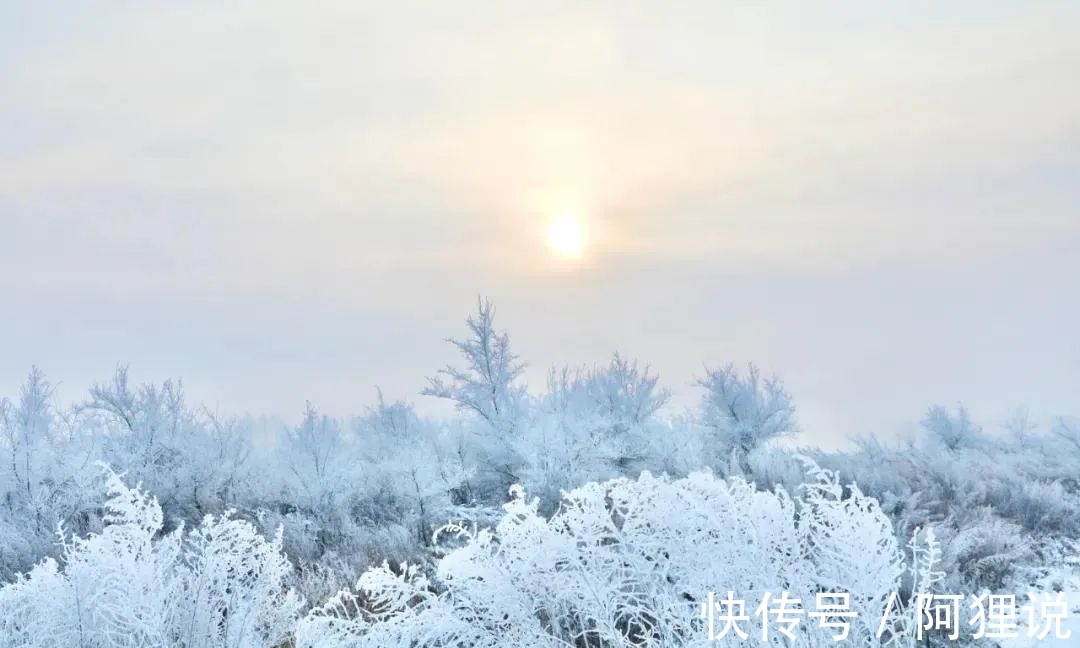 千山鸟$柳宗元最孤独的一首诗，人至中年，我终于看懂了！