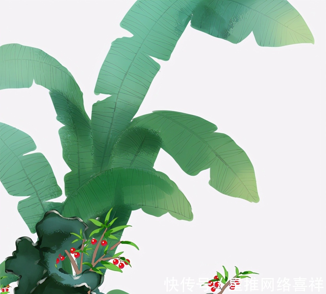 快乐|红豆是相思