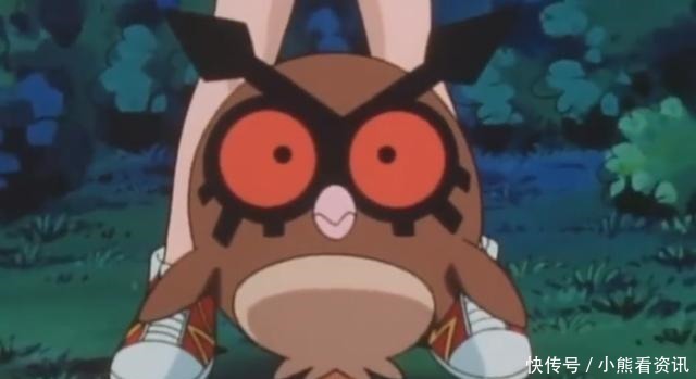 地区的家门|神奇宝贝种族值最低的十种飞行系宝可梦,小智大部分都有