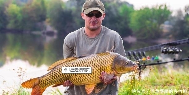大鱼|常见却很有用的钓鱼方法技巧,学会让你成为钓鱼高手——盛世三渔