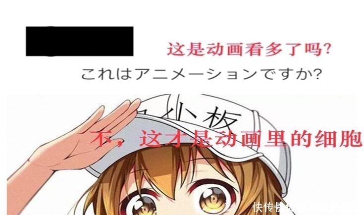 动漫|日本世博会logo被网友吐槽“奇丑无比”,画师可能是动漫看多了