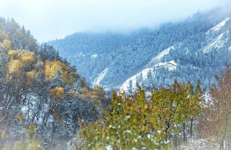 坎布拉|初雪渲染下的坎布拉国家森林公园