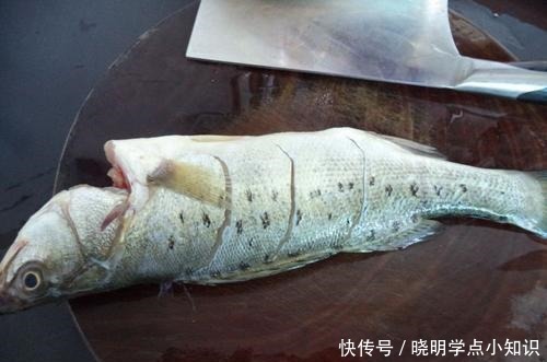 鲈鱼并不是越大越好!买鲈鱼牢记这4点,连卖鱼摊主都夸你懂行