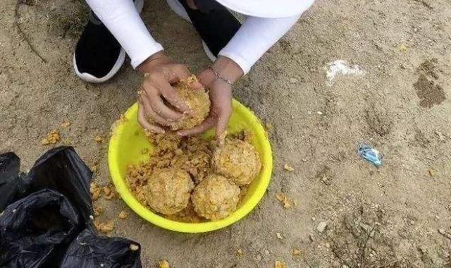 野钓打窝我绝不乱来牢牢记住这“八字诀”,不管在哪钓都能过瘾