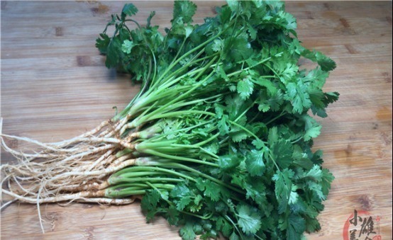 原来保存放半年的香菜这么简单，教你饭店的诀窍，一年只用买一次