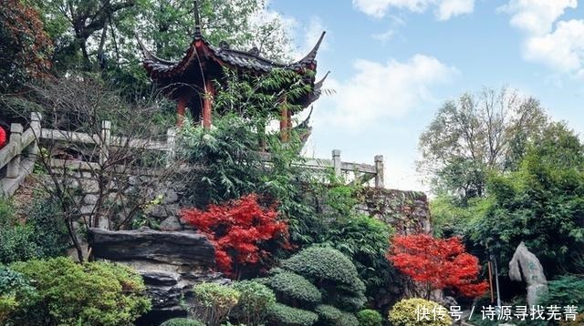 走街串巷遍寻美食，舌尖上的武汉，果然名不虚传！