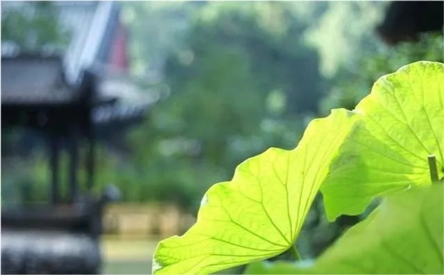 险夷@人生在世有三忌,碰见就躲,不要高估自己的能力