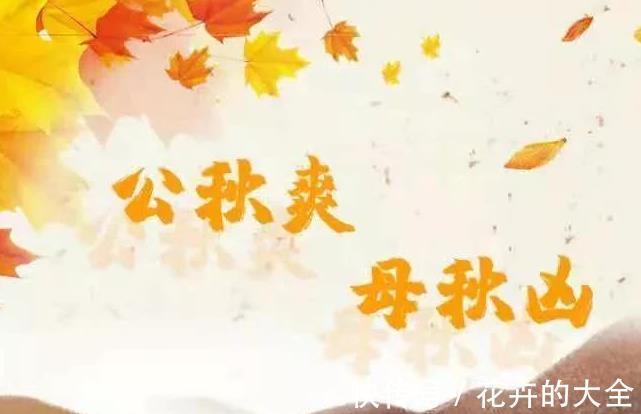 天氣|8月7號立秋，2021年立秋有哪些特點呢？農諺俗語告訴你