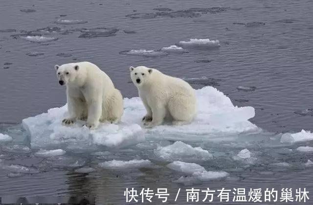 黑客帝国|人类面临的这八大威胁!你觉得最有可能的是哪个?