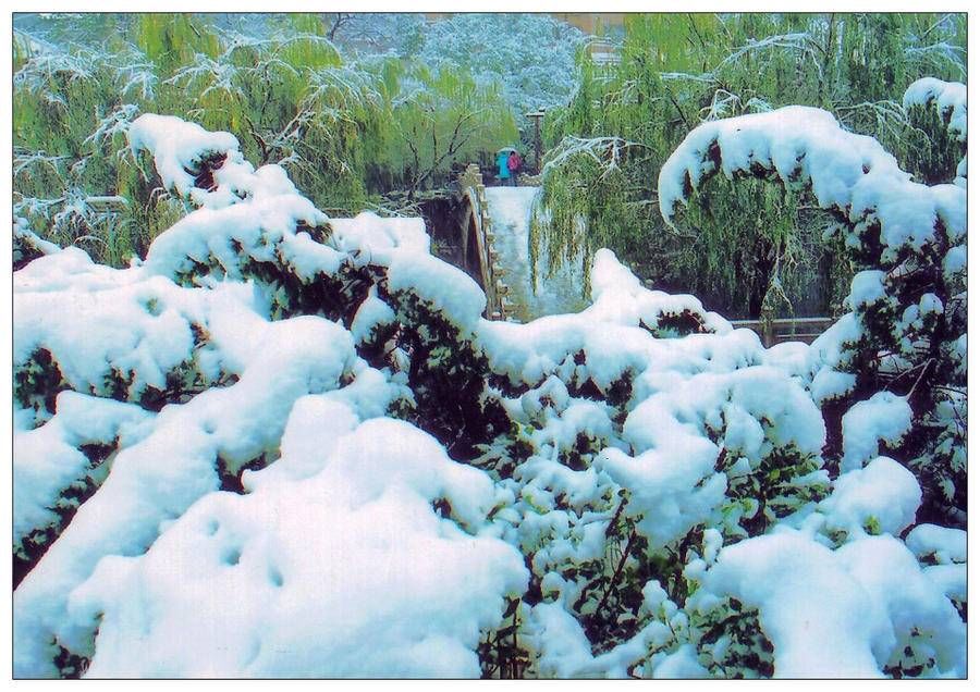 照片|冬至｜忆济南的冬雪，还记得这些济南下雪的老照片吗