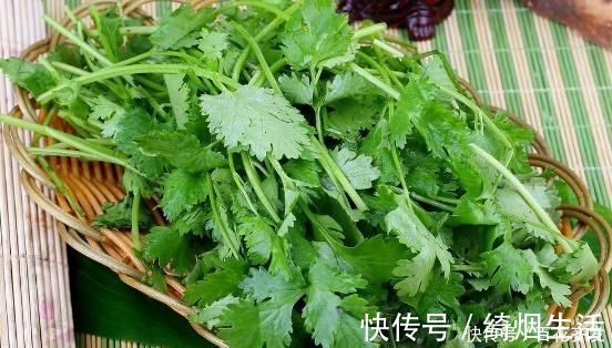 香菜|虽然吃蔬菜很好,但是孕妇应该远离这五种蔬菜子宫里的婴儿不喜欢它们