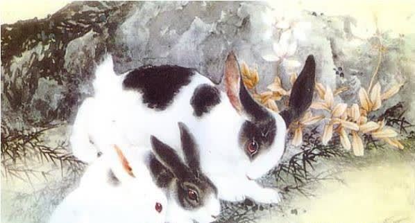 速看|“卯兔”的终生寿命：尤其是75年45岁后什么命？家有属兔的速看！