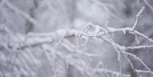 四川|今日立冬，四川这些地方下雪了 ！