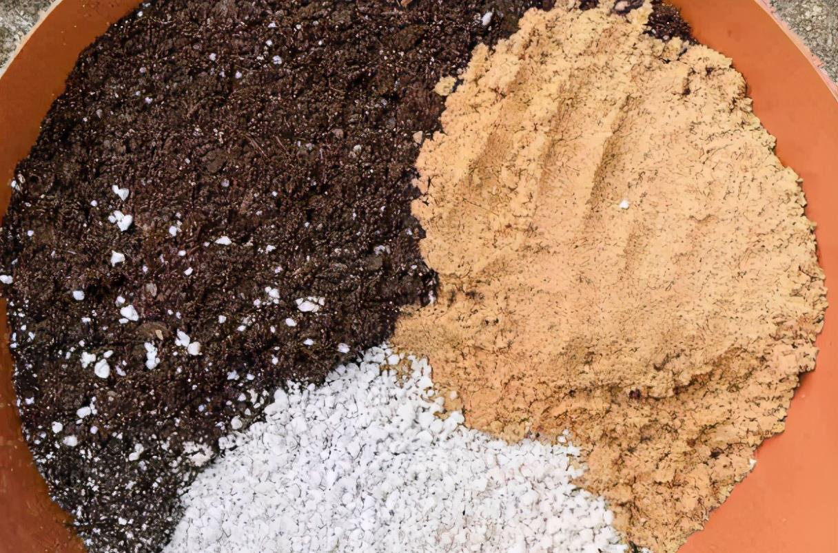 隐患|自制腐叶土养花:用什么土合适,怎么解决虫害隐患?