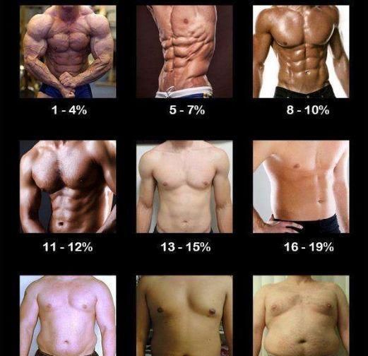 身材|体脂率6%的身材，是什么样子？如何降低体脂率？