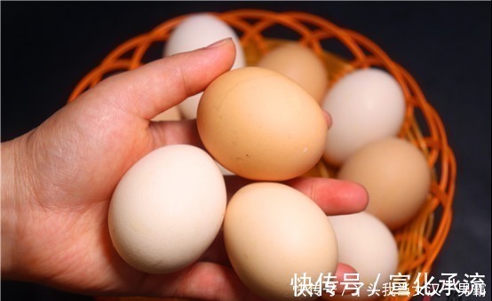 红壳鸡蛋|才知道,红壳鸡蛋和白壳鸡蛋,区别这么大,很多人不懂,别买错了