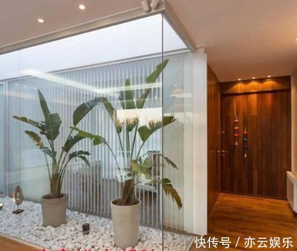 头一次见到户型不带院子,偏偏要在室内建庭院,没想到还这么漂亮