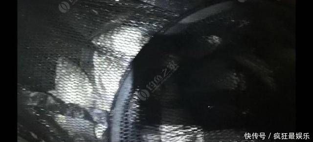 钓鲫鱼方法和窝料制作方法,自己研制的饵料,一般人我不告诉他