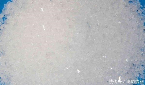 根系|君子兰放在什么地方养比较好放错了叶子发黄状态差！