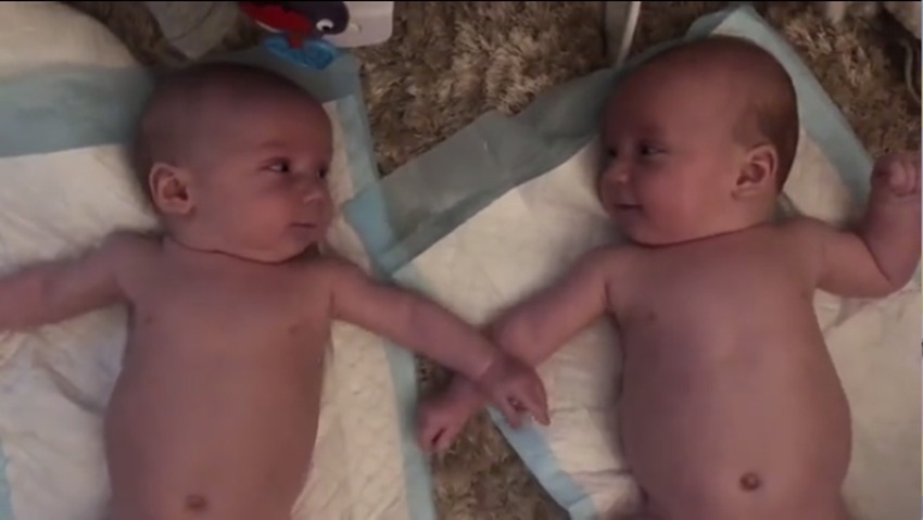 双胞胎|四个月大的双胞胎宝宝愉快的聊天火了，网友：这交流的真毫无障碍