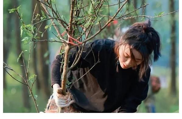 张靓颖|黄雅莉《听风说》唱进多少人心里？热爱音乐的她，或许生错了时代