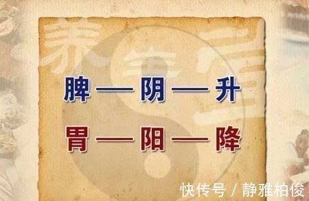 枳实|健脾最好用的经典名方,6味药,一补一消,健脾和胃,补益气血