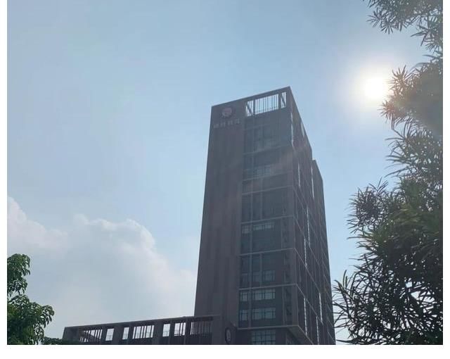 大良|德胜新城，顺德新富人区