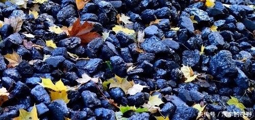 植物成煤,那几十米厚的煤层,得需要多少植物?