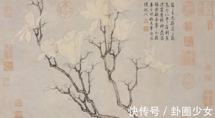 观物写生册&明代对景写生大家|沈周花鸟画《观物写生册》