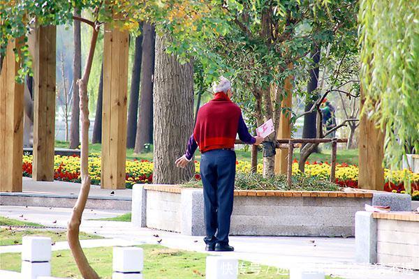 衰老|60岁后,大脑加速萎缩,七个饮食习惯,若保持,大脑有活力