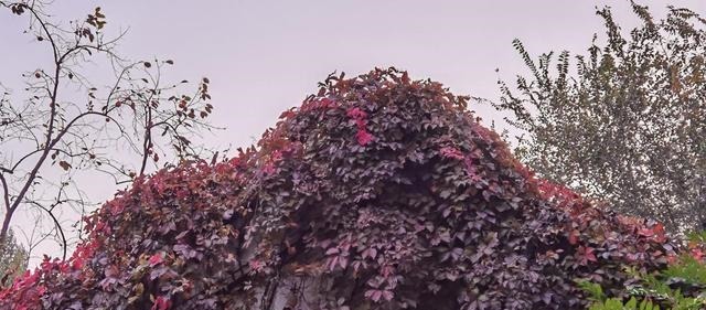  文物|文物要赶起时髦来，也挺惹人注意的