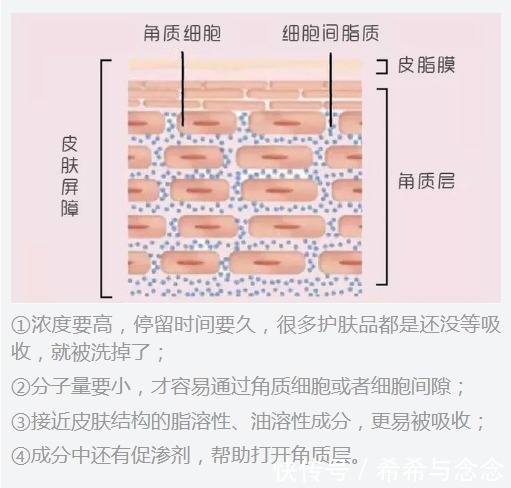 面膜|孕期素颜好皮肤很难吗？一键揭开所有孕妇护肤谜团，从此不再迷茫