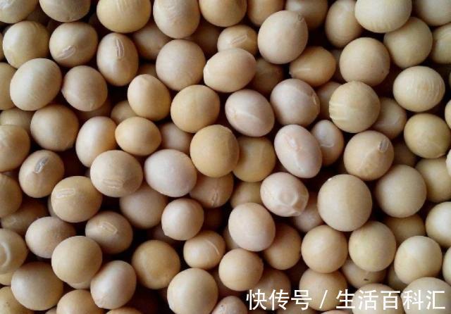 通乳|女人若有“乳腺增生”不慌，多吃4种食物，或通乳散结，缓解增生