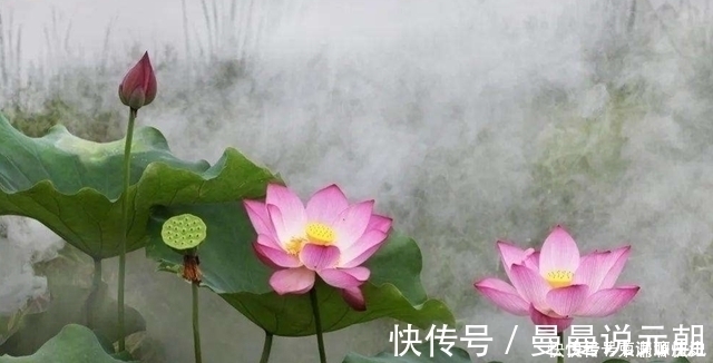 韩信$老祖宗智慧:真正的高手,当参透四句处世之道,人到中年不妨一看