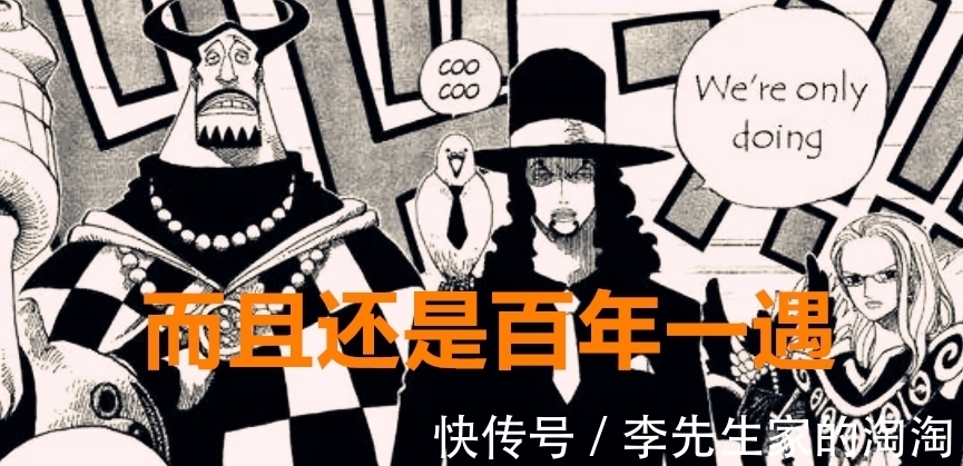 尾田|海贼王1018话:号称800年一遇的天才,实力三灾水平,路奇配吗?