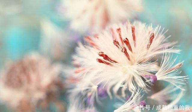 不尽|50句古风,写不尽一世的寂寞,画不成一生的相思