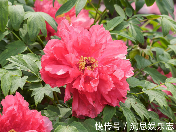 心肠|阴历这几月出生的女人，天生心地善良，菩萨心肠，子孙后代有出息