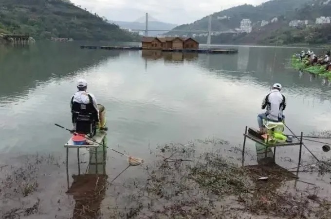 寒冬钓大板鲫,如果按照这样用钩,不知接连上鱼是种怎样的体验?