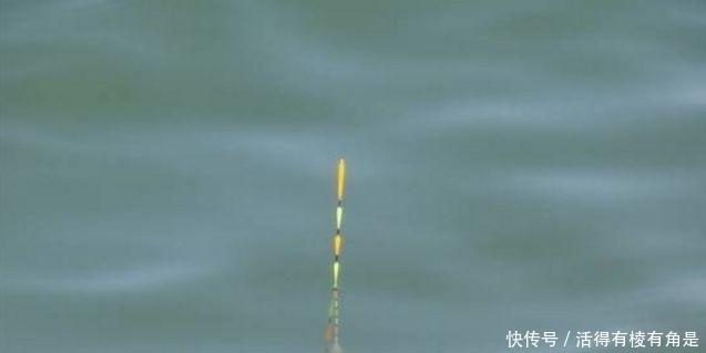 信号|钓鱼时,一旦遇到这些“漂相”就要注意了,老钓友:都是假信号