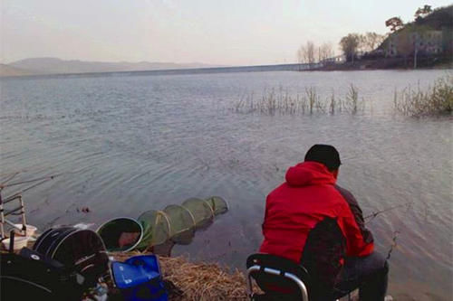 数九寒冬钓鲫鱼，鱼都藏在这些地方，在这里下竿，大鲫鱼连竿上！