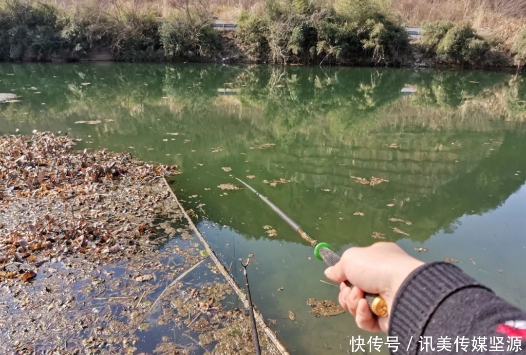 窝子|新钓位难聚鱼?许多人在开发新钓位时少做了一步,难怪钓不到鱼