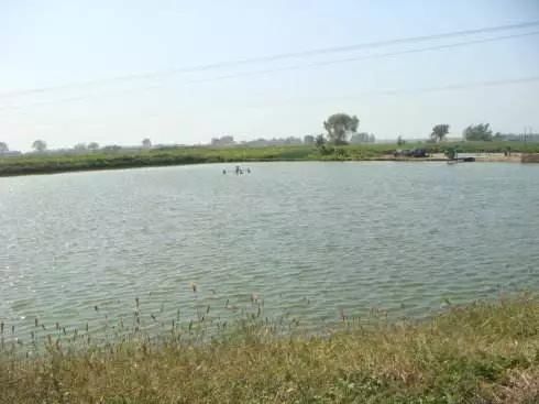 网工|钓鱼一定要远离这7个位置,逢钓必空军